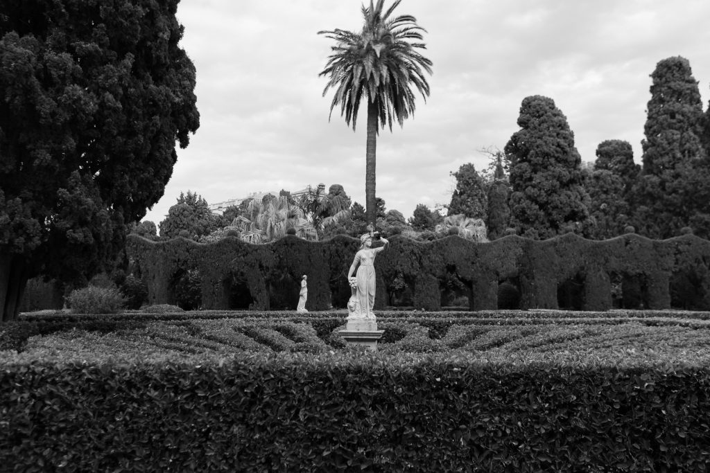Couple Engagement Proposal photography Valencia - celebration